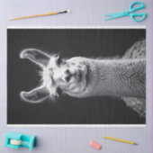 Papier Mousseline Llama Portrait noir et blanc Découpage (Artisanat)