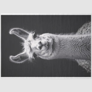 Papier Mousseline Llama Portrait noir et blanc Découpage