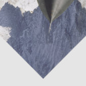 Papier Mousseline Lockheed SR-71B Blackbird (Détail)