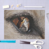 Papier Mousseline L'oeil du loup (Artisanat)