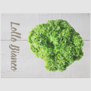 Papier Mousseline Lollo Bianco Salade feuilles de laitue pour Vegas