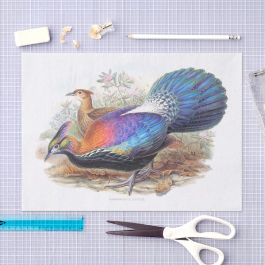 Papier Mousseline Lophophorus L'Huysi, Découpage nature (Artisanat)