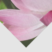 Papier Mousseline Lotus Bloom rose (Détail)