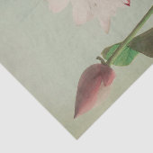 Papier Mousseline Lotus by Ogawa Kazumasa (Détail)