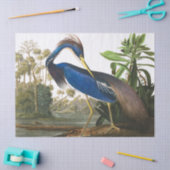 Papier Mousseline Louisiana Heron par John James Audubon (Artisanat)