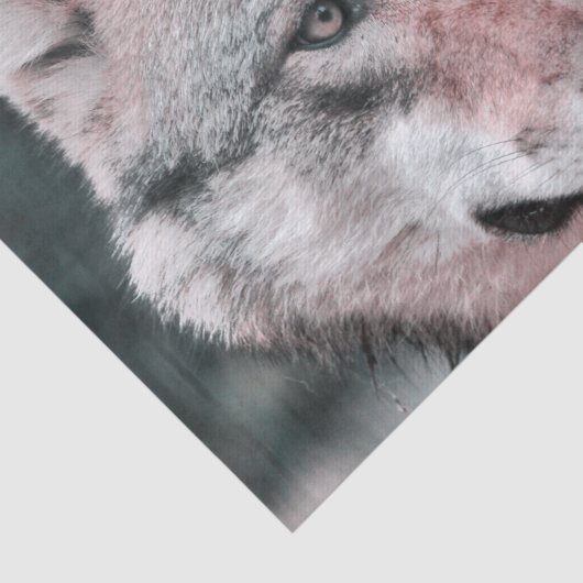 Papier Mousseline loup 1115 (Détail)