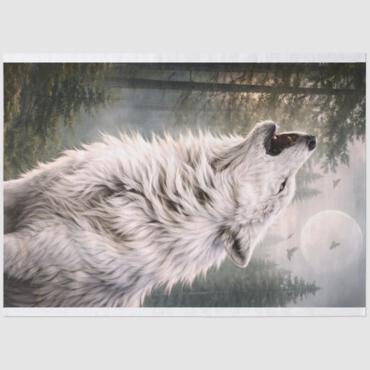 Papier Mousseline Loup 2 (Recto)