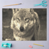 Papier Mousseline Loup 215 (Artisanat)