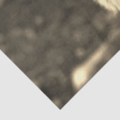 Papier Mousseline Loup 215 (Détail)