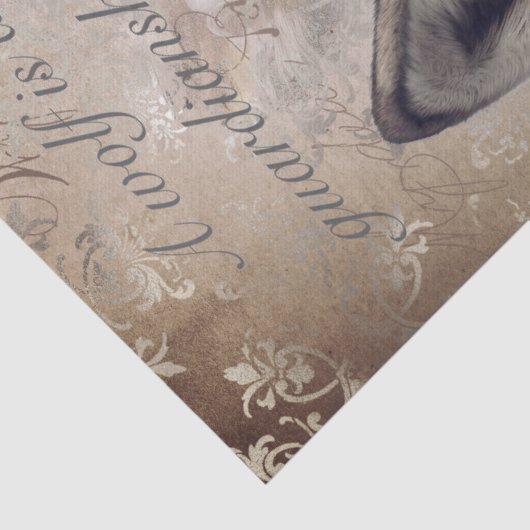 Papier Mousseline Loup américain (Détail)