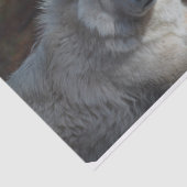 Papier Mousseline Loup arctique adorable (Détail)