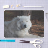 Papier Mousseline Loup arctique adorable (Artisanat)