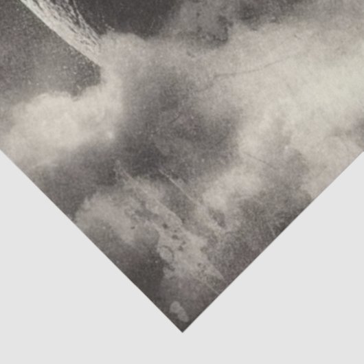 Papier Mousseline Loup d'Aurora Moon (Détail)