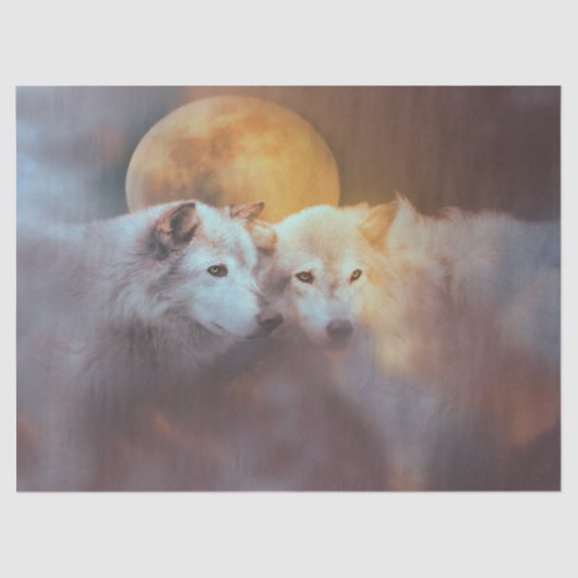 Papier Mousseline Loup et lune (Recto)