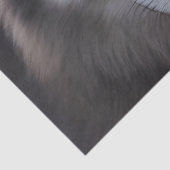 Papier Mousseline Loup gris en fleurs violettes (Détail)