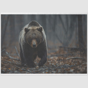 Papier Mousseline L'ours grizzli dans la page de découpage des bois