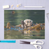 Papier Mousseline Loutre de mer de ondulation (Artisanat)
