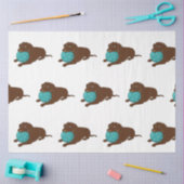 Papier Mousseline LR chocolate lab mâcher boule dessin animé (Artisanat)