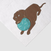 Papier Mousseline LR chocolate lab mâcher boule dessin animé (Détail)
