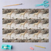 Papier Mousseline LR jaune plein (Artisanat)