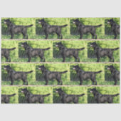 Papier Mousseline LR noir complet (Recto)