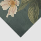 Papier Mousseline Luna Moth Conservatory (Détail)