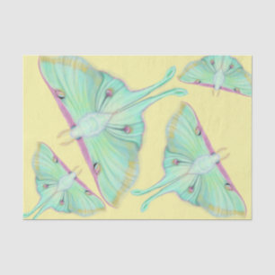 Papier Mousseline Luna Moth sur jaune