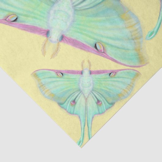 Papier Mousseline Luna Moth sur jaune (Détail)
