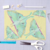 Papier Mousseline Luna Moth sur jaune (Artisanat)