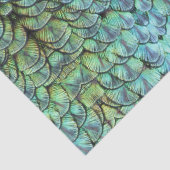 Papier Mousseline Luxueuses et élégantes plumes Turquoises à enclos (Détail)