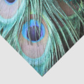 Papier Mousseline Luxueux et élégant Boho Turquoise Peacock Feathers (Détail)