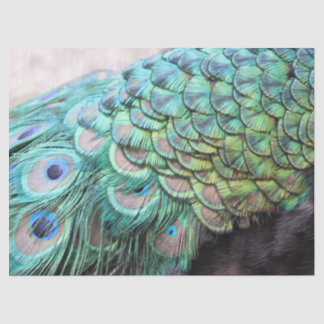 Papier Mousseline Luxueux et élégant Boho Turquoise Peacock Feathers