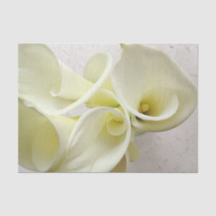 Papier Mousseline Lys calcaires blancs d'en haut