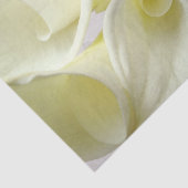 Papier Mousseline Lys calcaires blancs d'en haut (Détail)