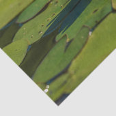 Papier Mousseline Lys d'eau (Détail)