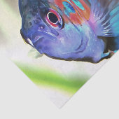 Papier Mousseline Macropodus Opercularis Aquarium Poisson (Détail)