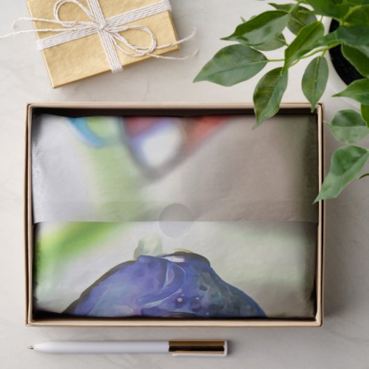 Papier Mousseline Macropodus Opercularis Aquarium Poisson (Cadeau)