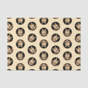Papier Mousseline Mad Tabby Chat Portrait Peinture Cute Art Original