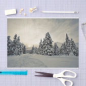 Papier Mousseline Magie hivernale (Artisanat)