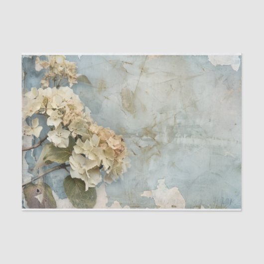 Papier Mousseline Magnifique Hydrangea papier cadeau enveloppé papie (Recto)