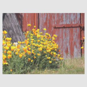 Papier Mousseline Magnifique ! Une explosion de fleurs jaunes et une