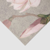 Papier Mousseline Magnolia (1886) (Détail)