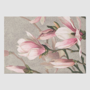 Papier Mousseline Magnolia (1886)