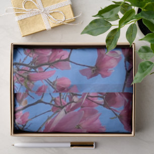 Papier Mousseline Magnolia rose printanière fleurs Ciel bleu Hanami