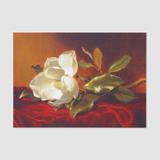 Papier Mousseline Magnolia sur Red Velvet Martin Johnson Heade (Recto)