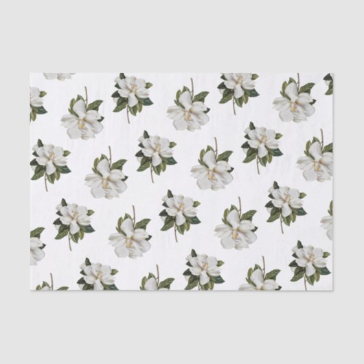 Papier Mousseline Magnolia Tissue (Recto)