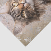Papier Mousseline Maine Coon (Détail)