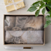 Papier Mousseline Maine Coon (Cadeau)