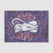 Papier Mousseline Maisies blanches de chats (Recto)