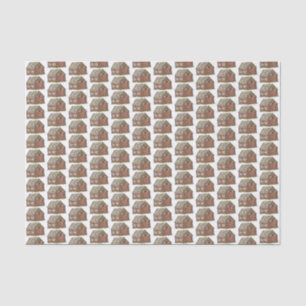 Papier Mousseline Maison de pain d'épice Noël Bonbons Noël Noël Noël